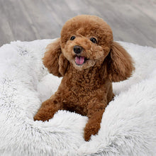 Load image into Gallery viewer, Hd1721a87de304398b4476a99841598521.jpg