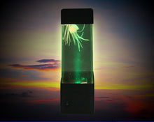 Load image into Gallery viewer, He79294f3946c4d4594bc01dd9c1ba6a9a.jpg